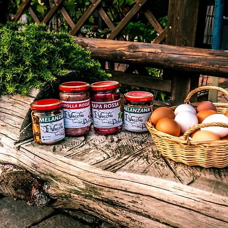 Farm stay Agriturismo Il Vecchio Pollaio Castel Di Sangro