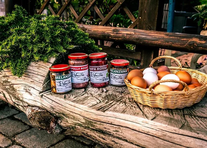 Фермерский дом Il Vecchio Pollaio Кастель-ди-Сангро